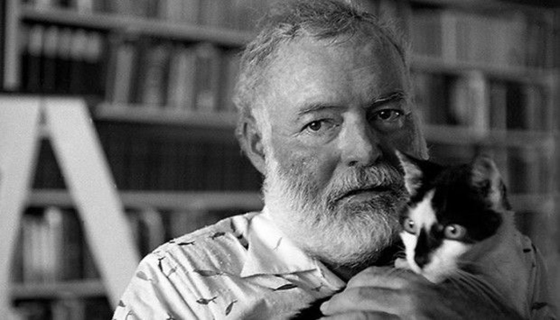Ernest Hemingway amava gatos
